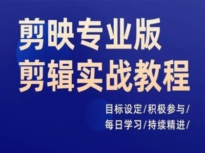 剪映专业版剪辑实战教程，目标设定/积极参与/每日学习/持续精进-木木创业基地项目网