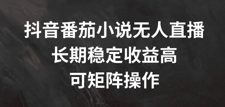 抖音番茄小说无人直播，长期稳定收益高，可矩阵操作-木木创业基地项目网