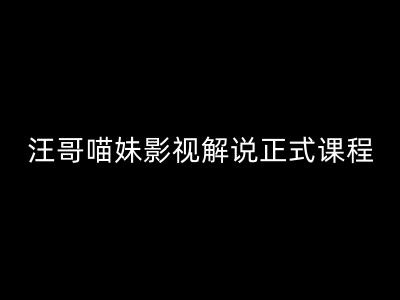 汪哥影视解说正式课程：剪映/PR教学/视解说剪辑5大黄金法则/全流程剪辑7把利器等等-木木创业基地项目网