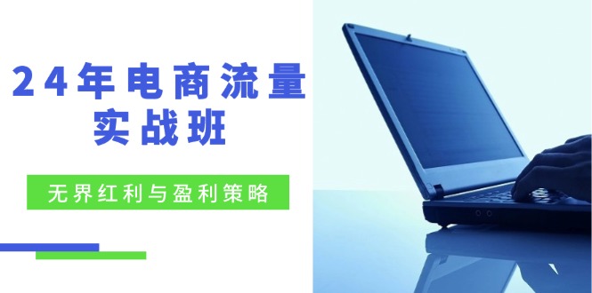 （12168期）24年电商流量实战班：无界 红利与盈利策略，终极提升/关键词优化/精准…-木木创业基地项目网