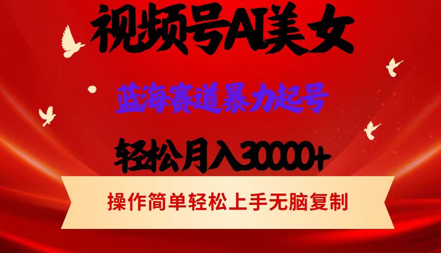 （12178期）视频号AI美女跳舞，轻松月入30000+，蓝海赛道，流量池巨大，起号猛，当…-木木创业基地项目网