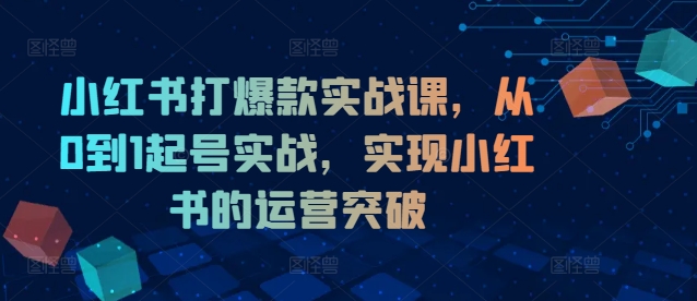 小红书打爆款实战课，从0到1起号实战，实现小红书的运营突破-木木创业基地项目网