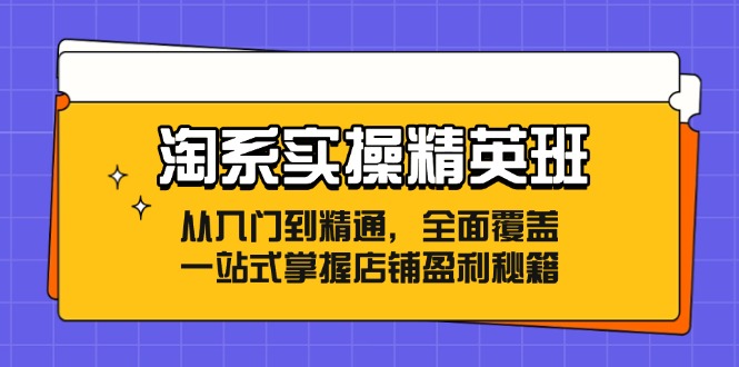 （12276期）淘系实操精英班：从入门到精通，全面覆盖，一站式掌握店铺盈利秘籍-木木创业基地项目网