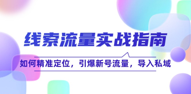 （12382期）线 索 流 量-实战指南：如何精准定位，引爆新号流量，导入私域-木木创业基地项目网