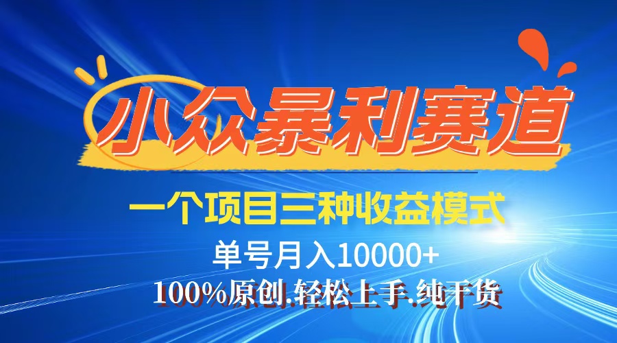 （12579期）【老人言】-视频号爆火赛道，三种变现方式，0粉新号调调爆款-木木创业基地项目网