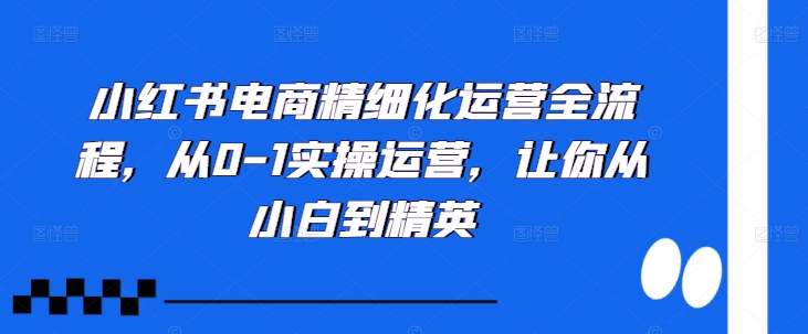 小红书电商精细化运营全流程，从0-1实操运营，让你从小白到精英-木木创业基地项目网