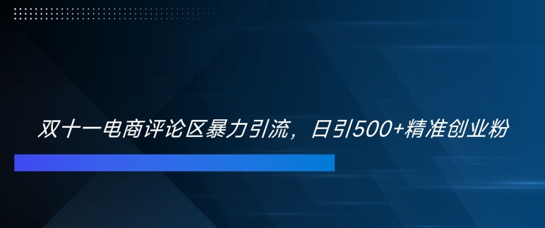 双十一电商评论区暴力引流，日引500+精准创业粉-木木创业基地项目网