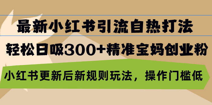 （13145期）最新小红书引流自热打法，轻松日吸300+精准宝妈创业粉，小红书更新后新…-木木创业基地项目网