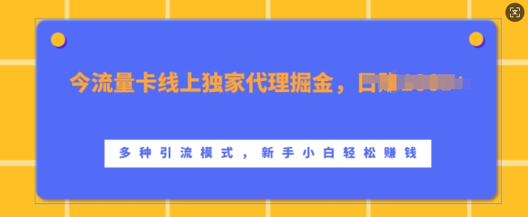 流量卡线上独家代理掘金，日入1k+ ，多种引流模式，新手小白轻松上手-木木创业基地项目网