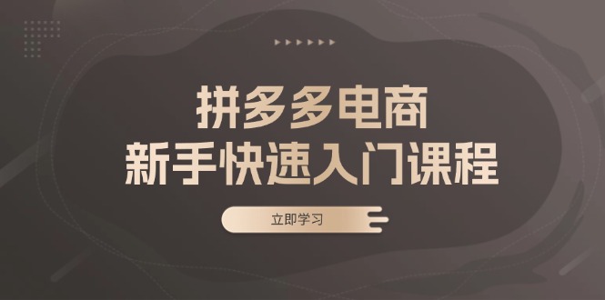 （13289期）拼多多电商新手快速入门课程：涵盖基础、实战与选款，助力小白轻松上手-木木创业基地项目网