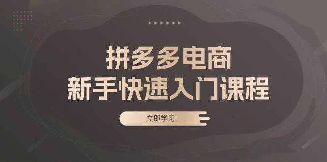 拼多多电商新手快速入门课程：涵盖基础、实战与选款，助力小白轻松上手-木木创业基地项目网