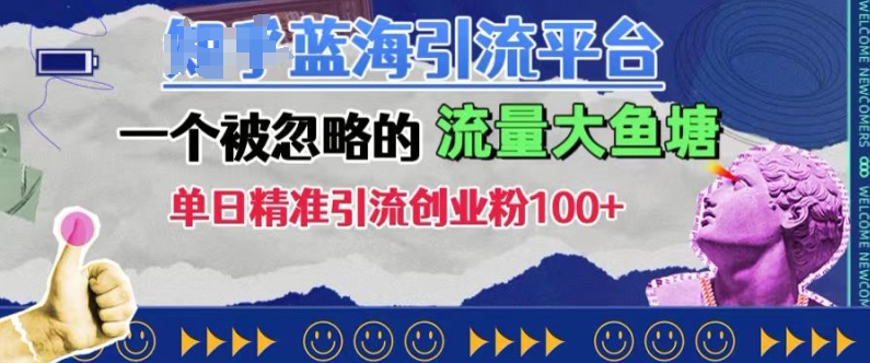 豆瓣蓝海引流平台，一个被忽略的流量大鱼塘，单日精准引流创业粉100+-木木创业基地项目网