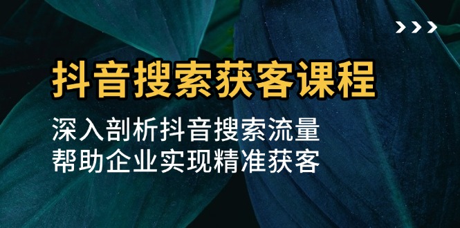 （13465期）抖音搜索获客课程：深入剖析抖音搜索流量，帮助企业实现精准获客-木木创业基地项目网