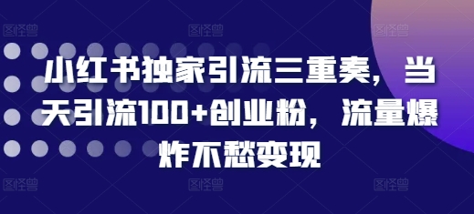 小红书独家引流三重奏，当天引流100+创业粉，流量爆炸不愁变现-木木创业基地项目网