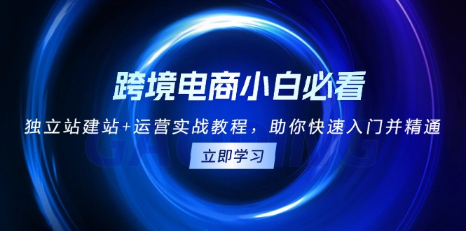 （13503期）跨境电商小白必看！独立站建站+运营实战教程，助你快速入门并精通-木木创业基地项目网