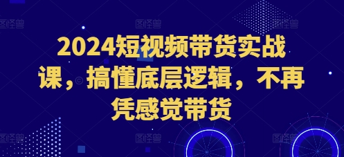 2024短视频带货实战课，搞懂底层逻辑，不再凭感觉带货-木木创业基地项目网