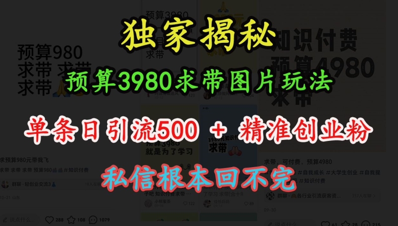 预算3980求带 图片玩法，单条日引流500+精准创业粉，私信根本回不完-木木创业基地项目网