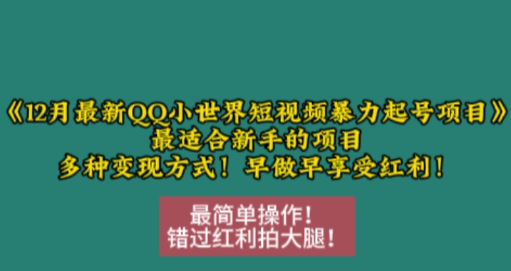 12月最新QQ小世界短视频暴力起号项目，最适合新手的项目，多种变现方式-木木创业基地项目网