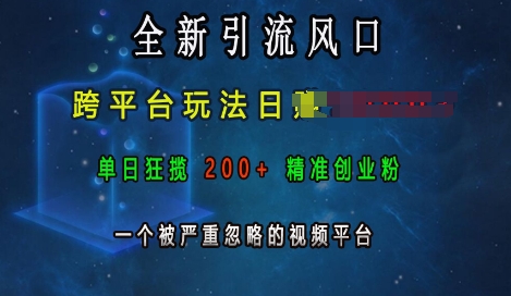 全新引流风口，跨平台玩法日入上k，单日狂揽200+精准创业粉，一个被严重忽略的视频平台-木木创业基地项目网