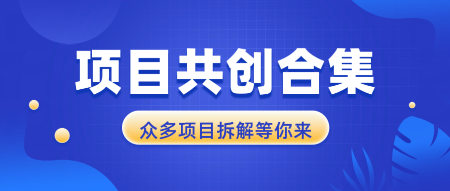 （13778期）项目共创合集，从0-1全过程拆解，让你迅速找到适合自已的项目-木木创业基地项目网