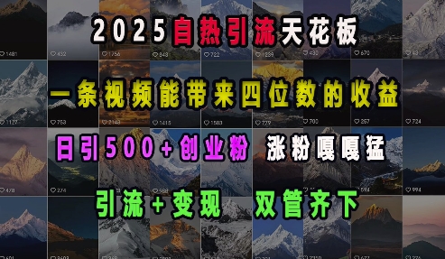 2025自热引流天花板，一条视频能带来四位数的收益，引流+变现双管齐下，日引500+创业粉，涨粉嘎嘎猛-木木创业基地项目网