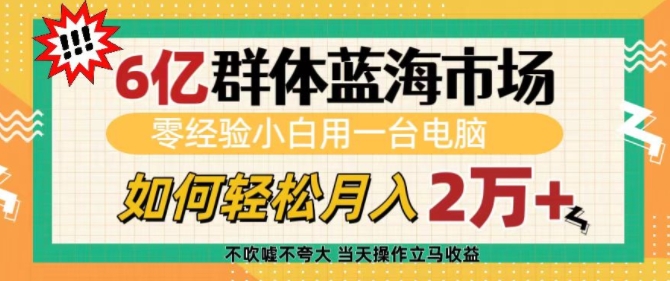 6亿群体蓝海市场，零经验小白用一台电脑，如何轻松月入过w-木木创业基地项目网