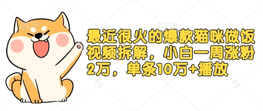 最近很火的爆款猫咪做饭视频拆解，小白一周涨粉2万，单条10万+播放(附保姆级教程)-木木创业基地项目网