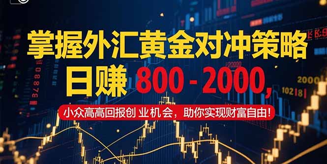 （15198期）掌握外汇黄金对冲策略，日赚 800 – 2000，小众高回报创业机会，助你实…-木木创业基地项目网
