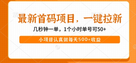 最新首码项目，操作最简单，收益高，一键拉新，1个小时单号可50+，小项目认真做每天5张+收益-木木创业基地项目网