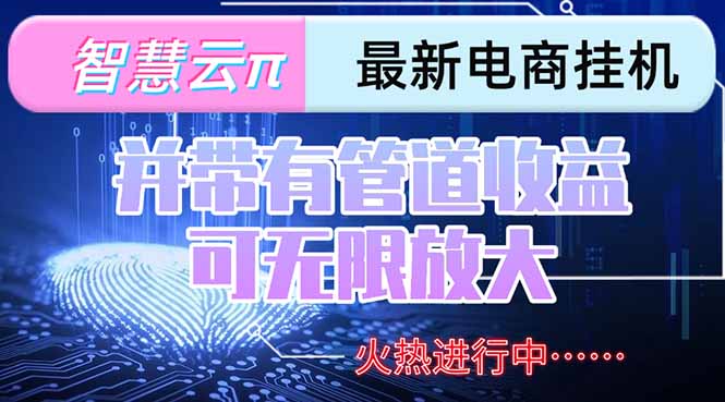 （15314期）智慧云π电脑挂机单机每天收益300—500+ 并带有团队管道收益 可无限放大-木木创业基地项目网